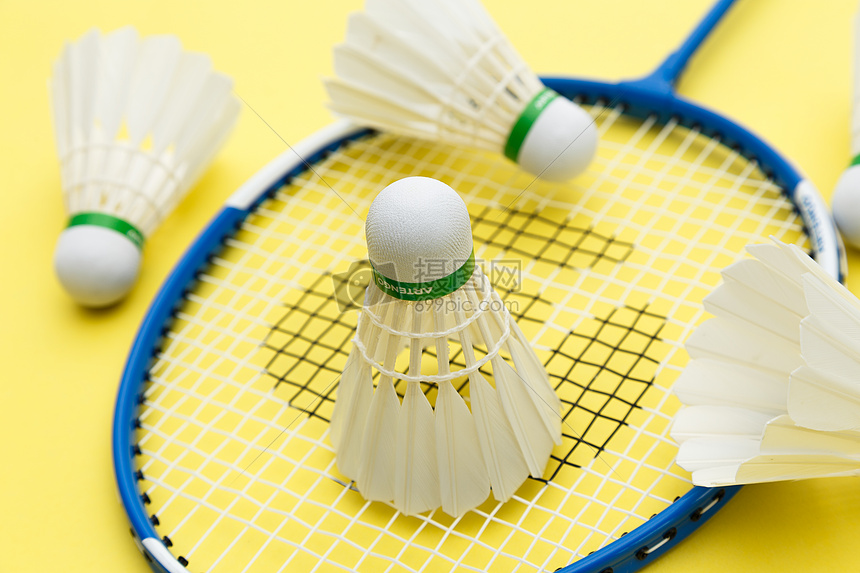 她们合作晋 她们合作晋