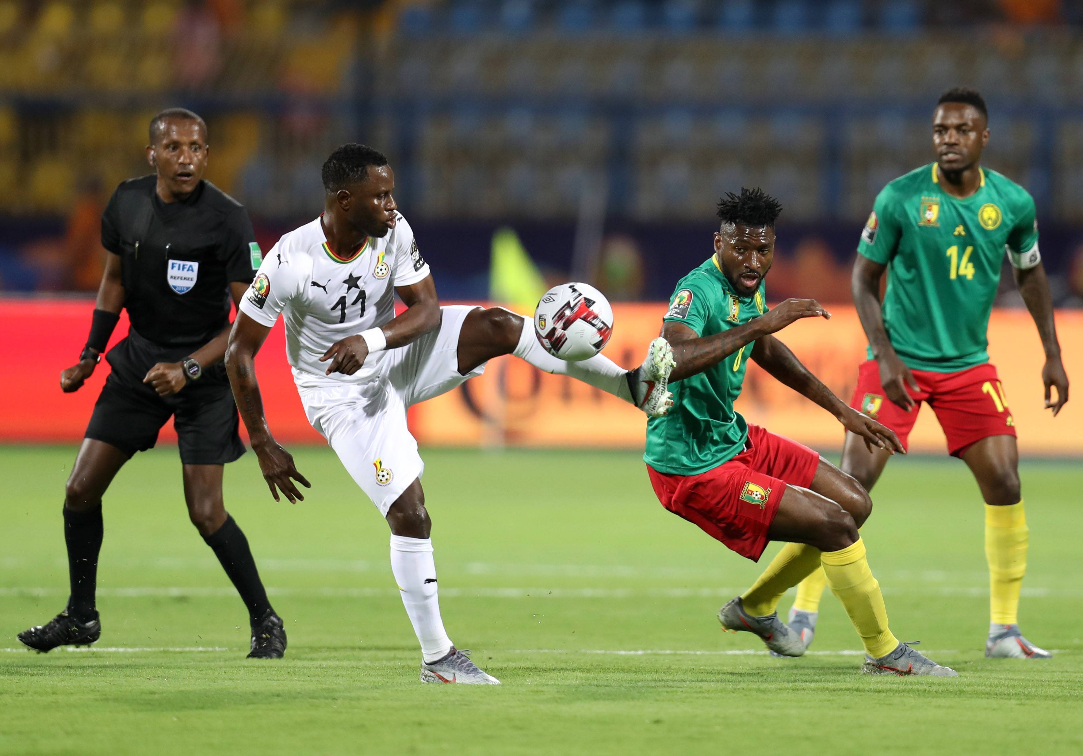 场上收获的 场上收获的