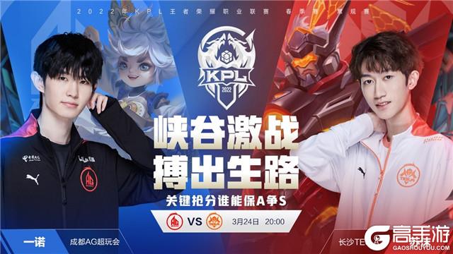 年来的表现 年来的表现