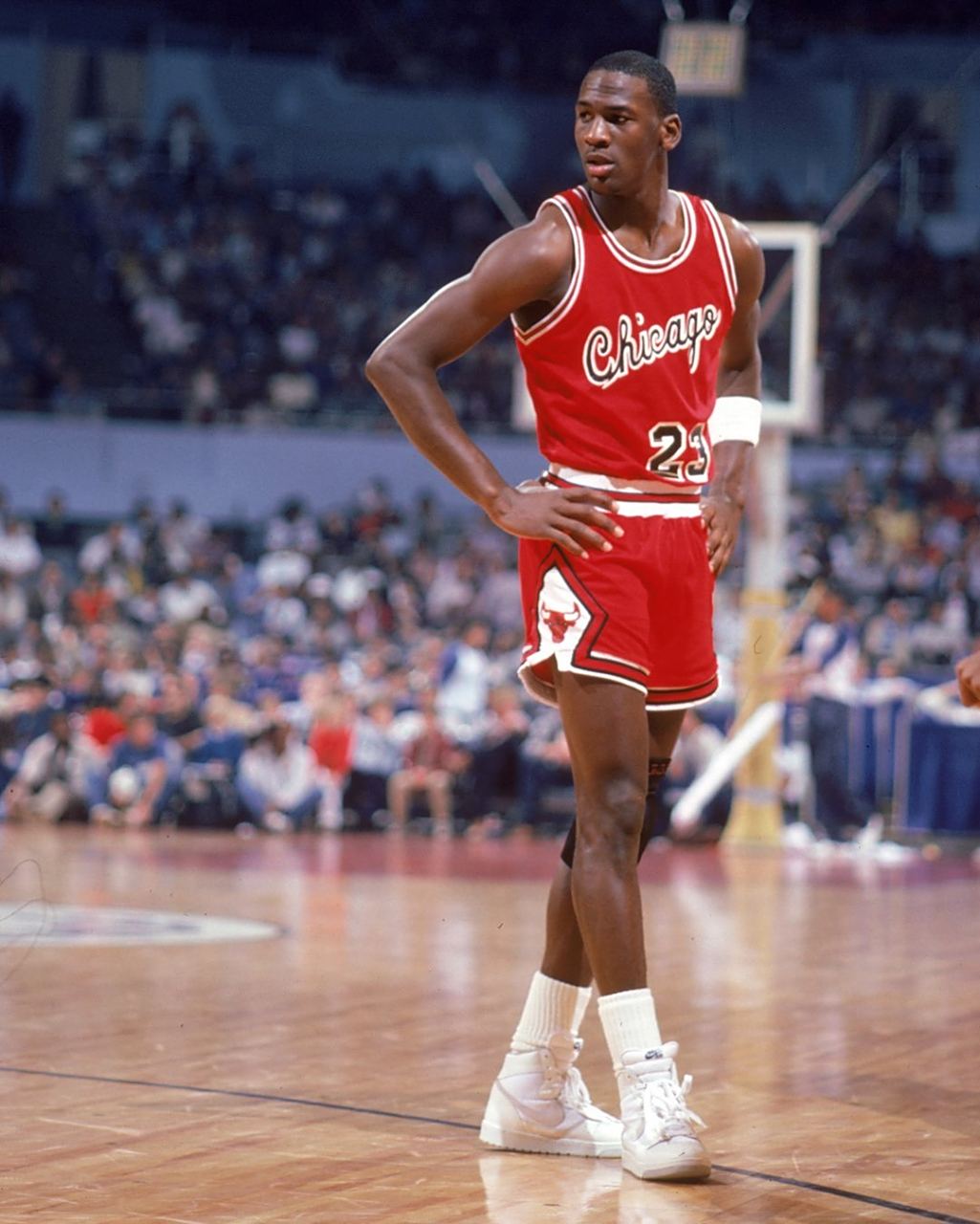 更是为我们 更是为我们